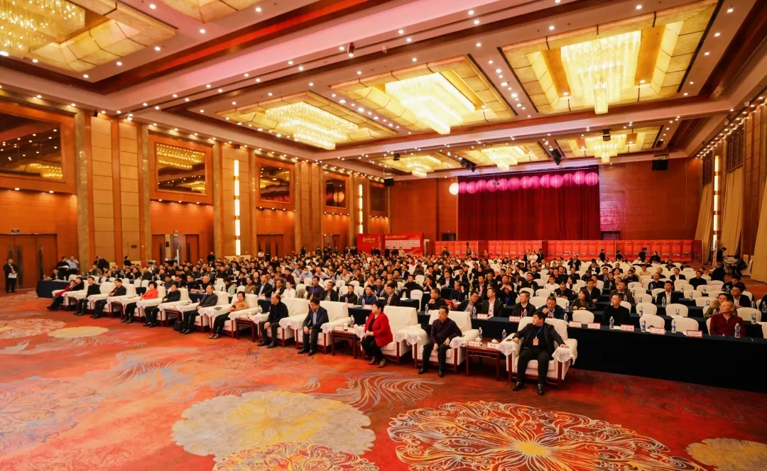 1737599340623973.jpg 2.jpg